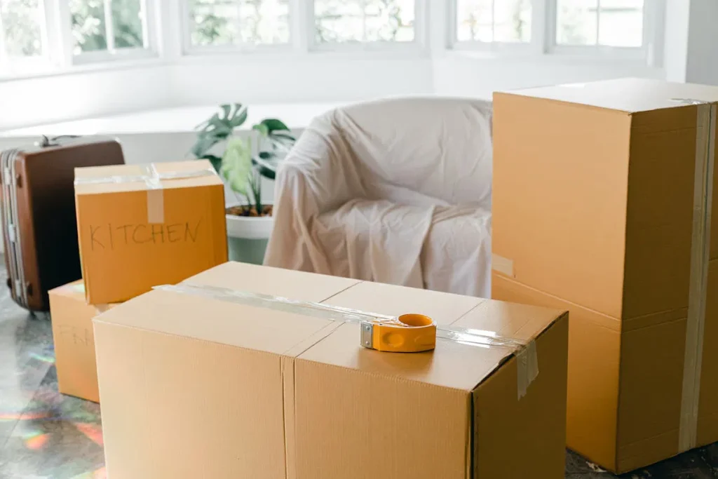 boxes | contact us